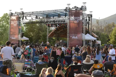 DSC_2342 (Large).JPG